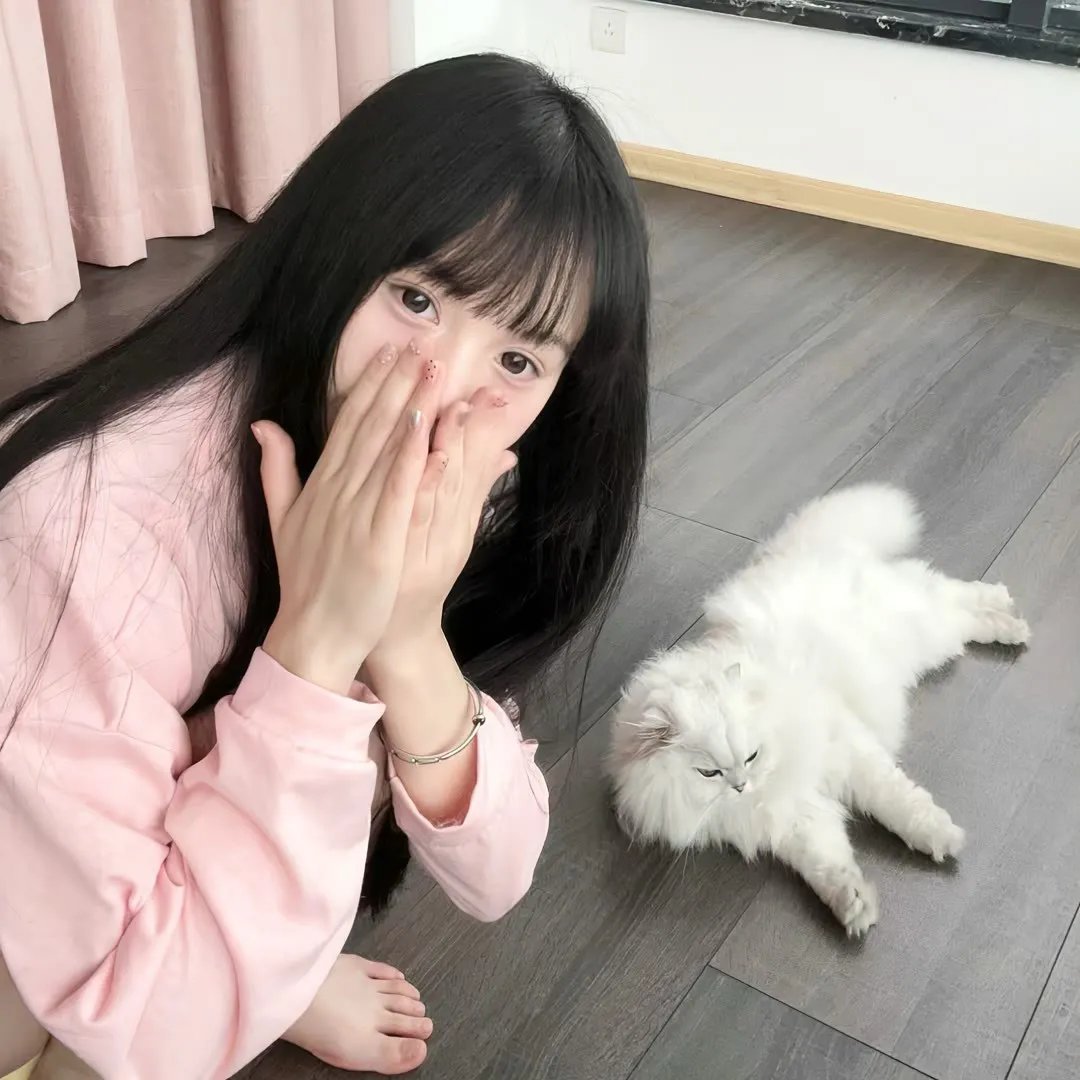 黑蜥蜴